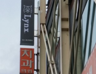 링스 돌출간판